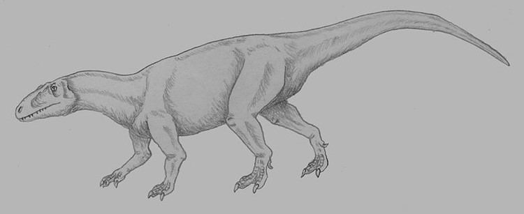 Xuanhanosaurus Xuanhanosaurus Pictures Facts The Dinosaur Database