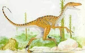 Xuanhanosaurus Definition of a XUANHANOSAURUS Dinosaurs