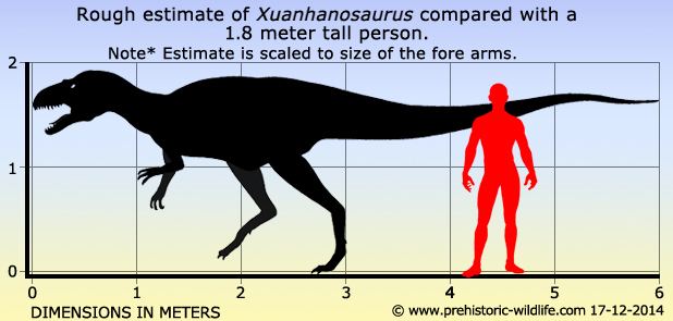 Xuanhanosaurus Xuanhanosaurus