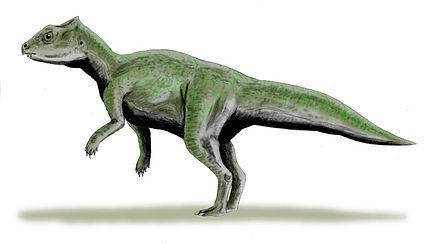 Xuanhuaceratops Ceratopsia Wikiwand