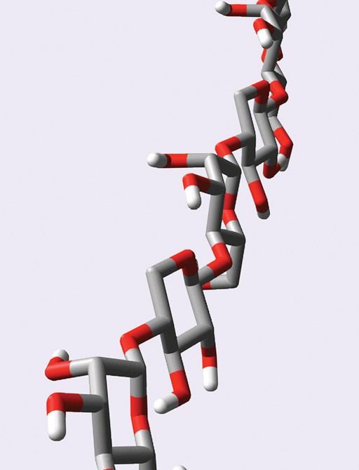 Xylomannan wwwrikenjpmediarikenresearchrikenresearch