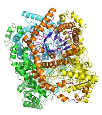 Xylose isomerase