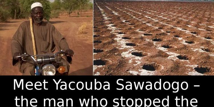 Yacouba Sawadogo Meet Yacouba Sawadogo the man who stopped the desert All on his own
