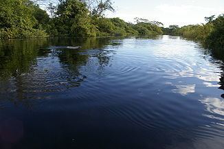 Yacuma River httpsuploadwikimediaorgwikipediacommonsthu
