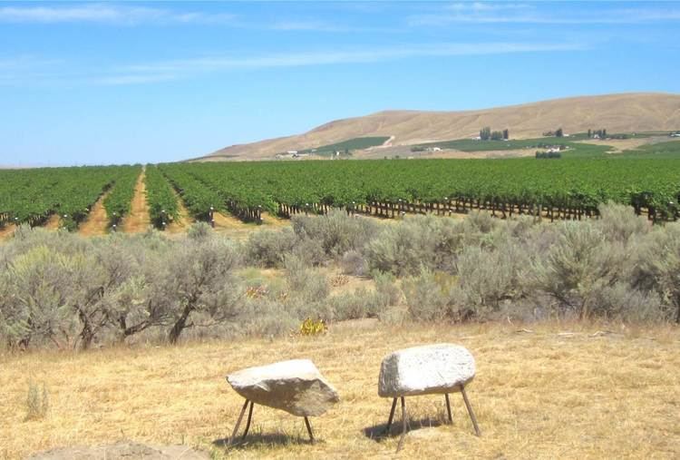 Yakima Valley AVA Sun in a Shadow Climate of the Yakima Valley AVA Wine Yakima Valley