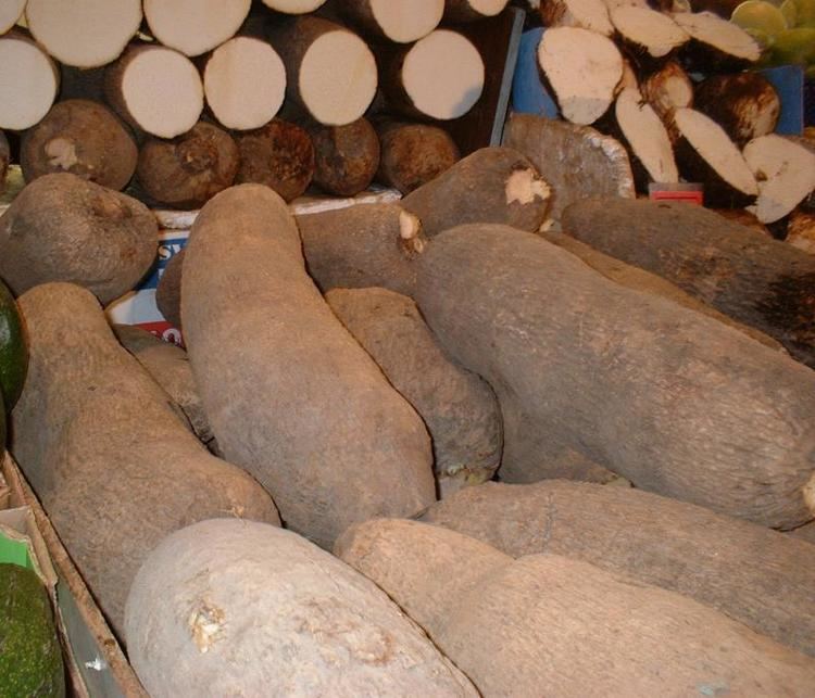 Yam production in Nigeria
