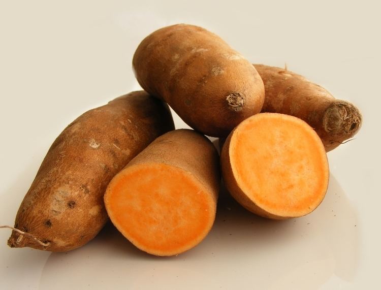 Yam (vegetable) wwwclipartkidcomimages805yamcolorsortingOz