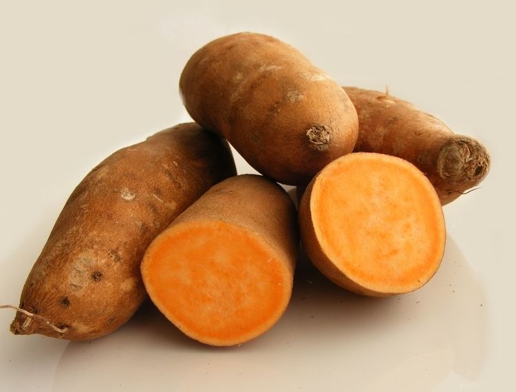 Yam vegetable Alchetron The Free Social Encyclopedia