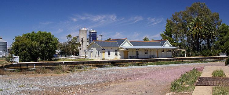 Yanco–Griffith railway line