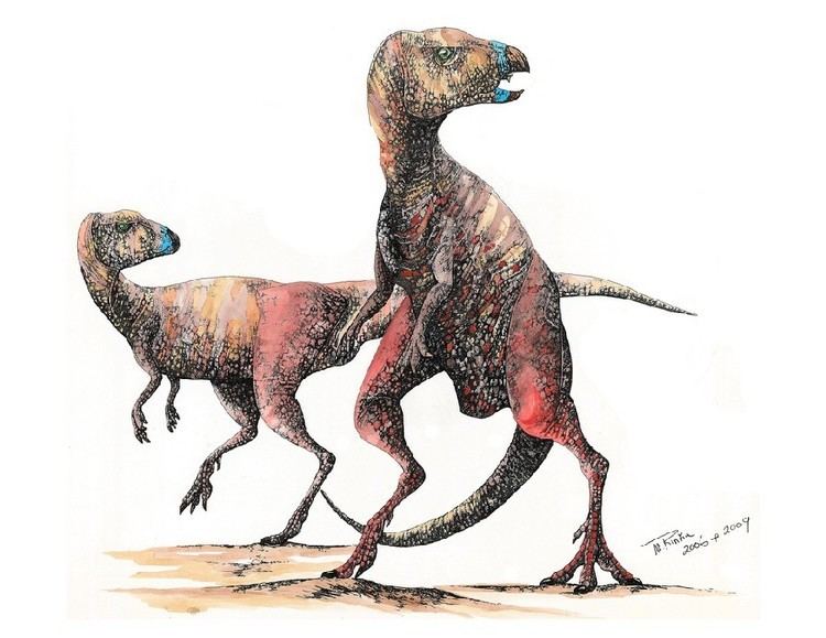 Yandusaurus Yandusaurus Pictures Facts The Dinosaur Database
