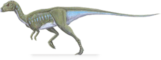 Yandusaurus YANDUSAURUS DinoChecker dinosaur archive