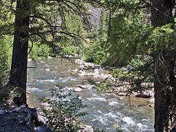 Yankee Fork Salmon River httpsuploadwikimediaorgwikipediacommonsthu