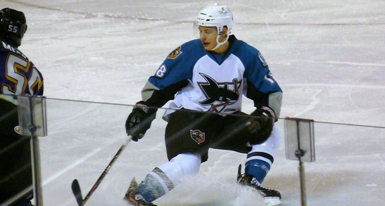 Yanni Gourde View Photo Worcester Sharks Supporters