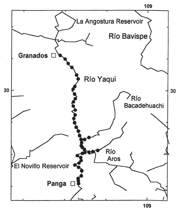 Yaqui River Gallo JP 1996 Distribution of the Neotropical River Otter