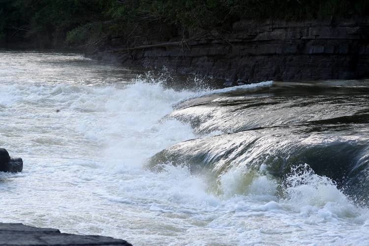 Yarí River greenhellorgexpeditionrioyarifotoRioYariRa