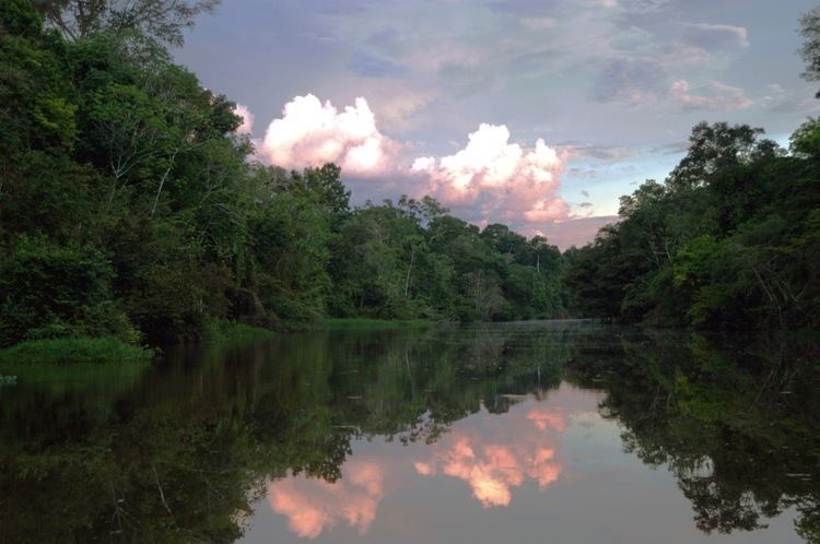 Yarapa River FAQ Amazon Yarapa River Lodge