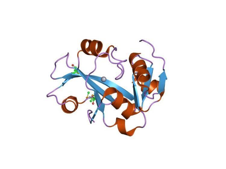 YbaK protein domain