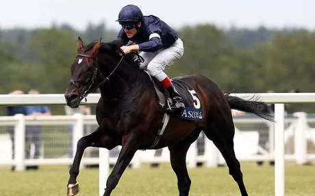 Yeats (horse) Yeats is the greatest Horse Racing Telegraph