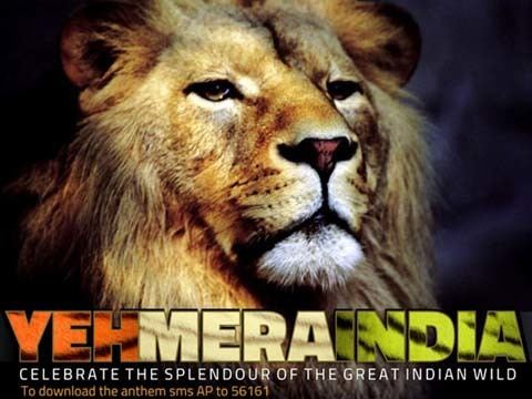 Yeh Mera India Animal Planet celebrates Indias wildlife with Yeh Mera India