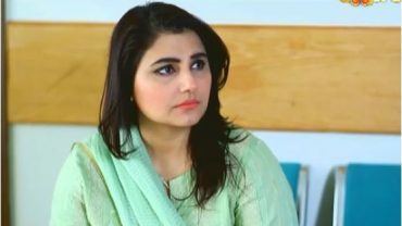Yehi Hai Zindagi Yehi Hai Zindagi in HD 21st January 2017 Pakistani Drama Online