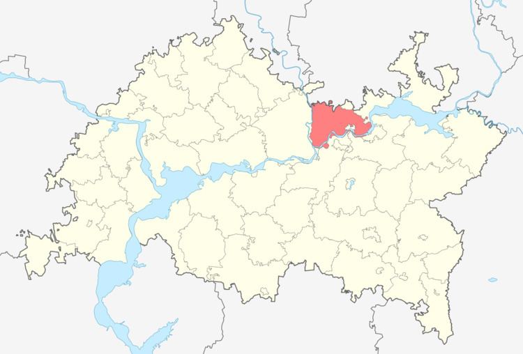 Yelabuzhsky District