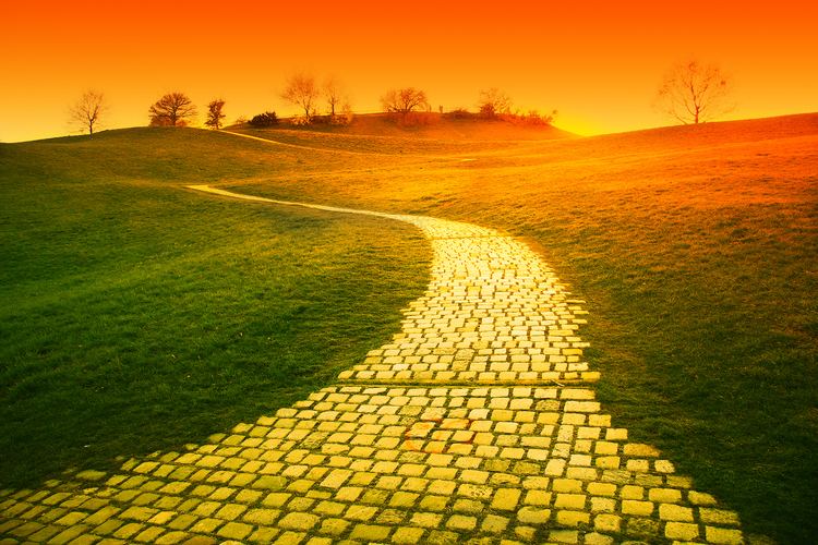 Yellow brick road Eliana Sohn Following Her Own Yellow Brick Road OU Life