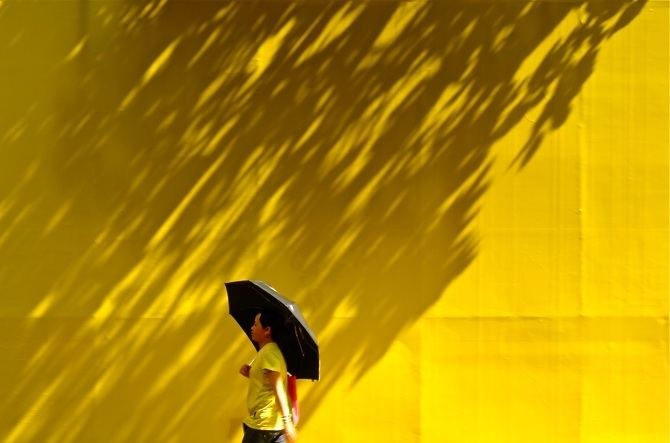 Yellow rain yellow rain Sarah Choi street photography