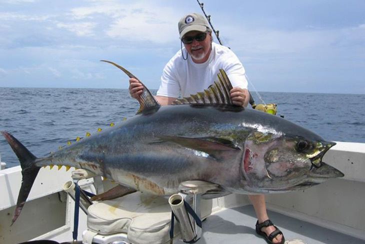 Yellowfin tuna When is the Best Time to Catch Yellowfin Tuna