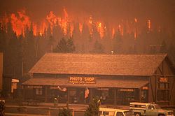 Yellowstone fires of 1988 Yellowstone fires of 1988 Wikipedia