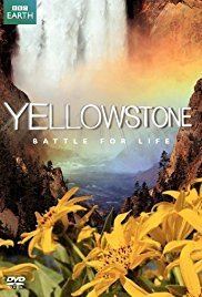 Yellowstone (TV series) httpsimagesnasslimagesamazoncomimagesMM
