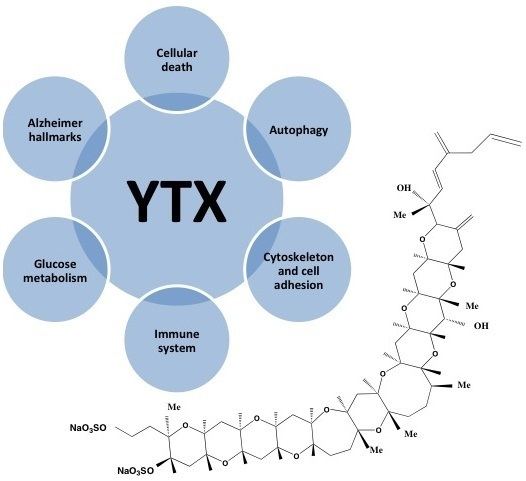 Yessotoxin Marine Drugs Free FullText Yessotoxin a Promising Therapeutic Tool