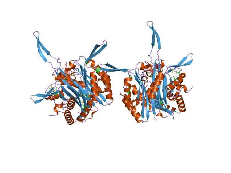 YgbB N terminal protein domain