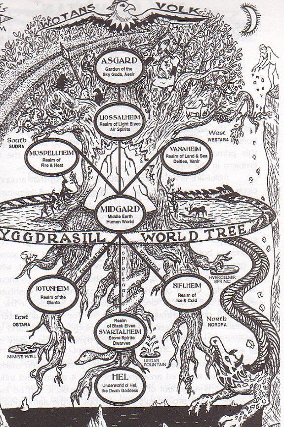Yggdrasil 17 Best images about Yggdrasil on Pinterest Trees Norse mythology
