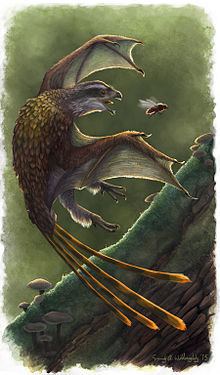 Yi (dinosaur) httpsuploadwikimediaorgwikipediacommonsthu