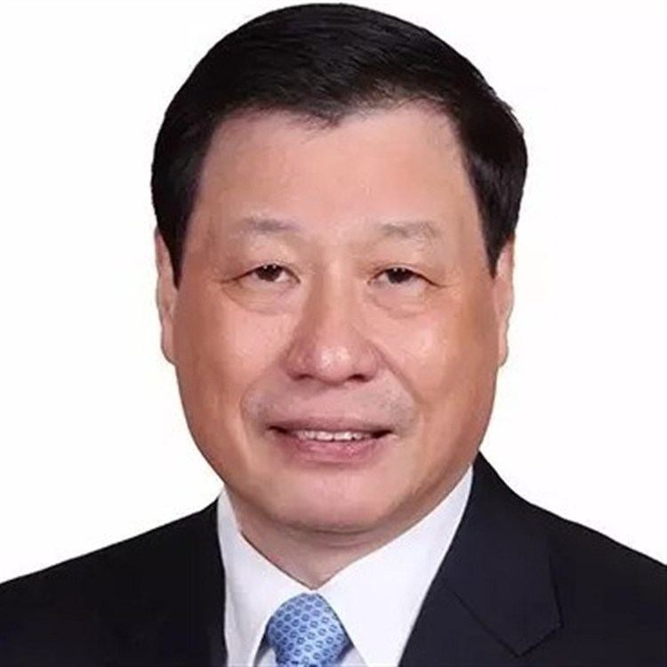 Ying Yong Ying Yong elected as new Shanghai mayor Shanghai Daily