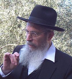 Yisrael Ariel Yisrael Ariel Wikipedia