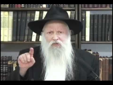 Yitzchak Ginsburgh Rabbi Yitzchak Ginsburgh on Parashas Vaeira 5771 YouTube