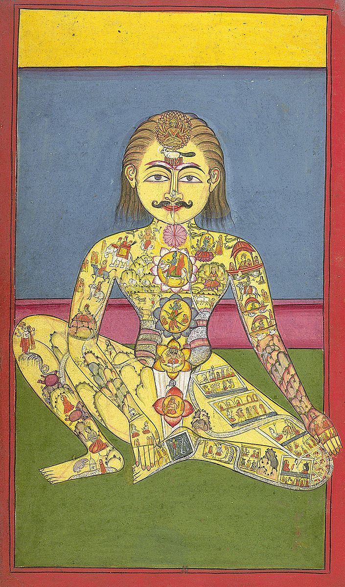 Yoga physiology