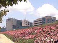 Yokosuka Research Park httpsuploadwikimediaorgwikipediaenddfYRP