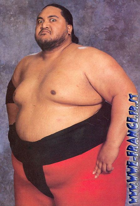 Yokozuna (wrestler) Hayley Stewart Des311