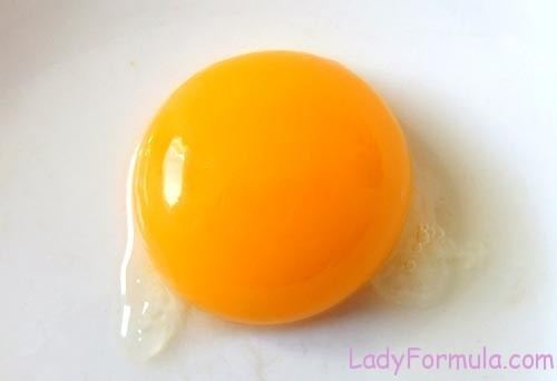 Yolk Recipe for Mayonnaise egg yoke only or whole egg recipes