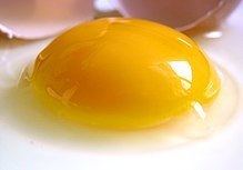 Yolk httpsuploadwikimediaorgwikipediacommonsthu