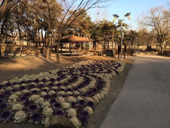 Yongsan Family Park Yongsan Family Park Seoul South Korea Top Tips Before You Go