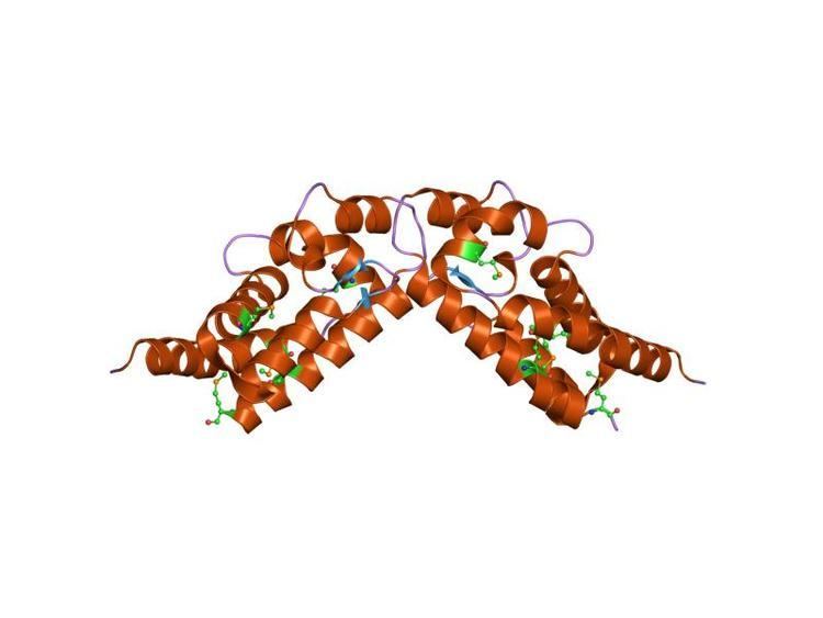 YopE protein domain