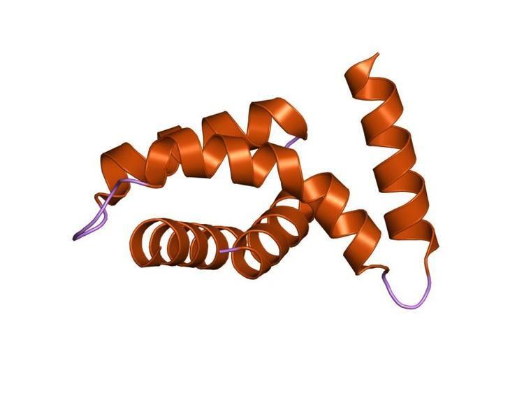 YopR bacterial protein domain