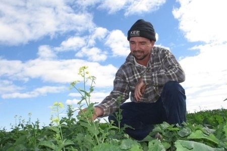 Yorkrakine Growers welcome Sclerotinia study results Agriculture Cropping