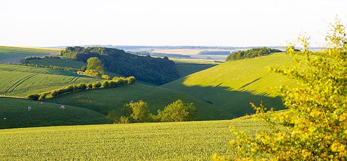 Yorkshire Wolds Leaflets and Downloads National Trails