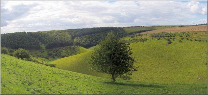 Yorkshire Wolds Walking in the Yorkshire Wolds Gorgeous Cottages