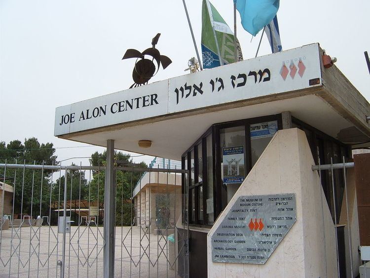Yosef Alon