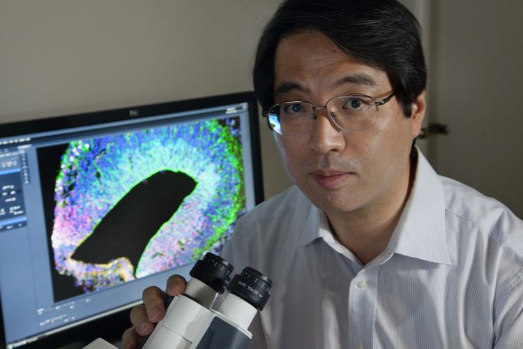 Yoshiki Sasai Researcher39s death shocks Japan News blog